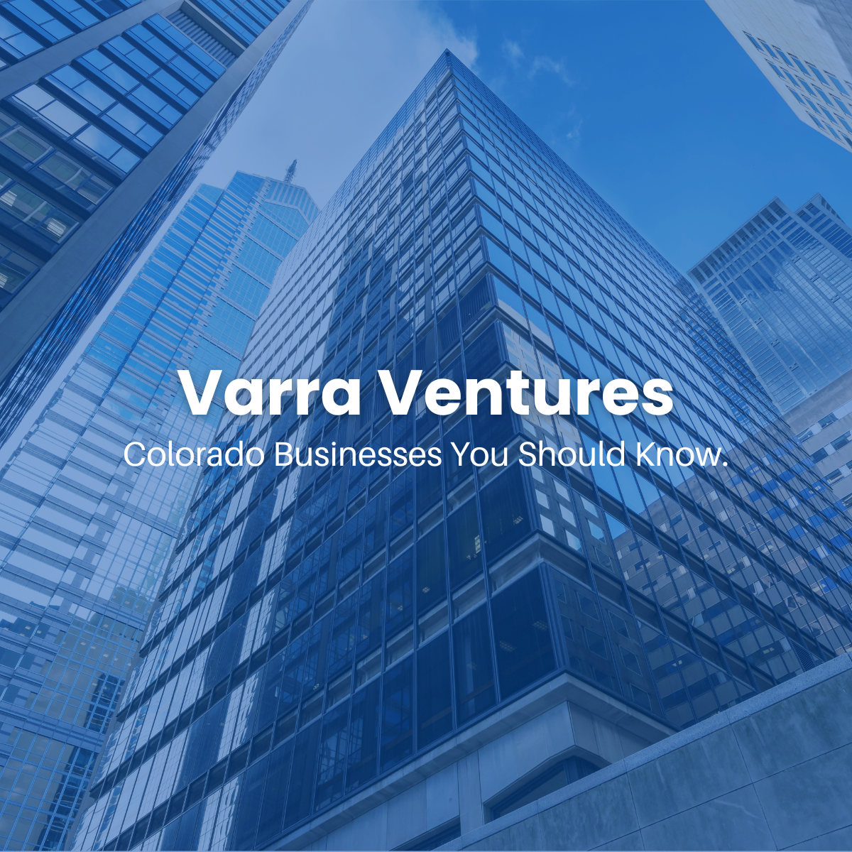 Varra Ventures | Blinds Couture